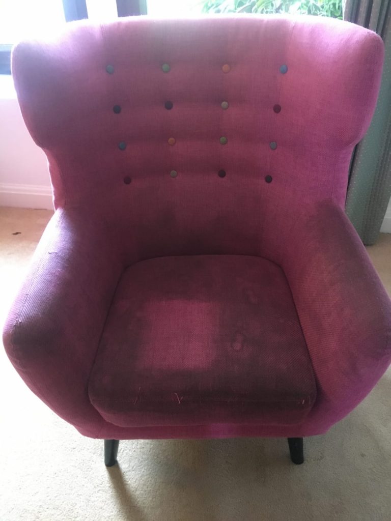 Before - Upholstery Cleaning